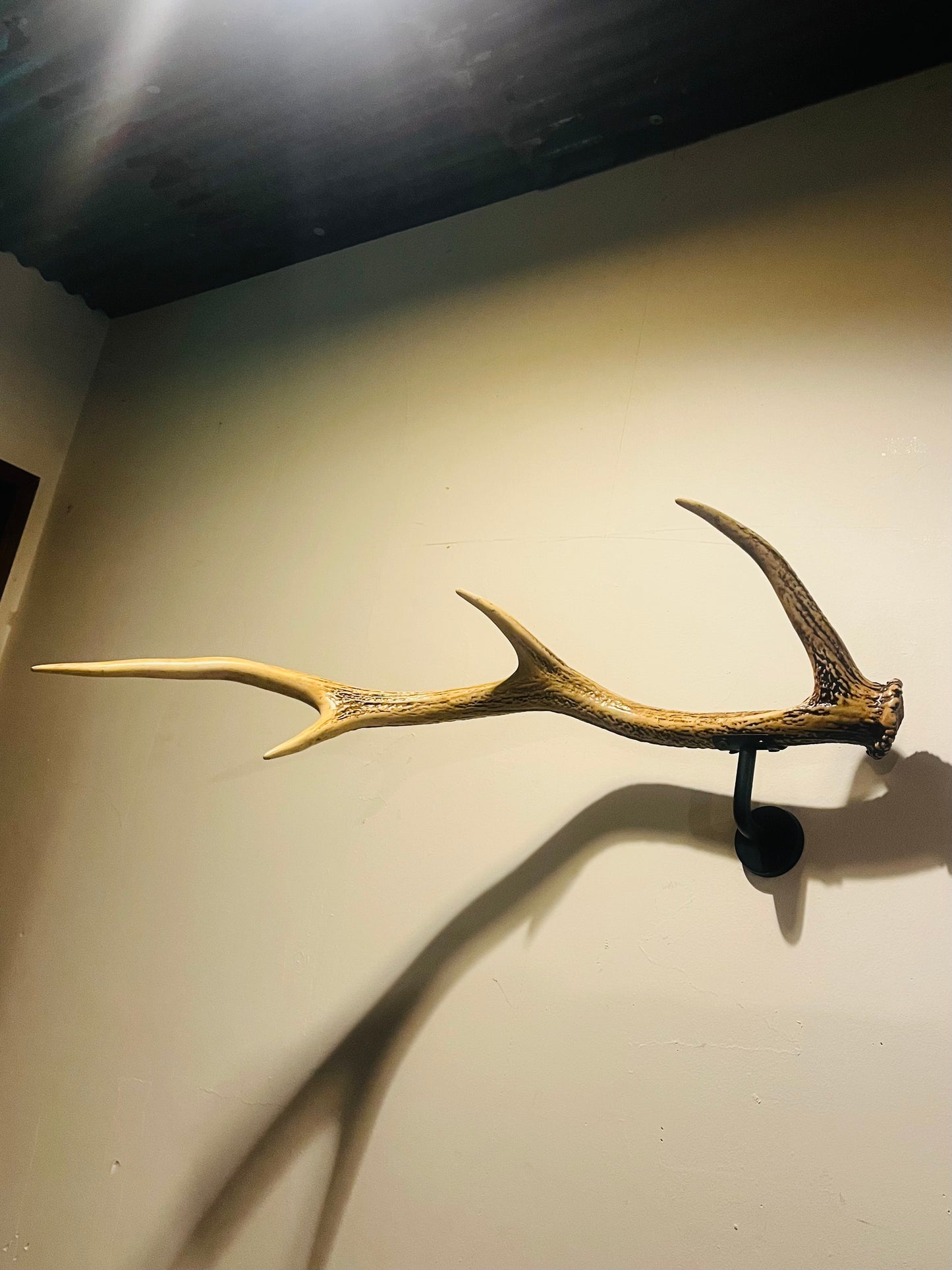 天然エゾ鹿角のウォールラック