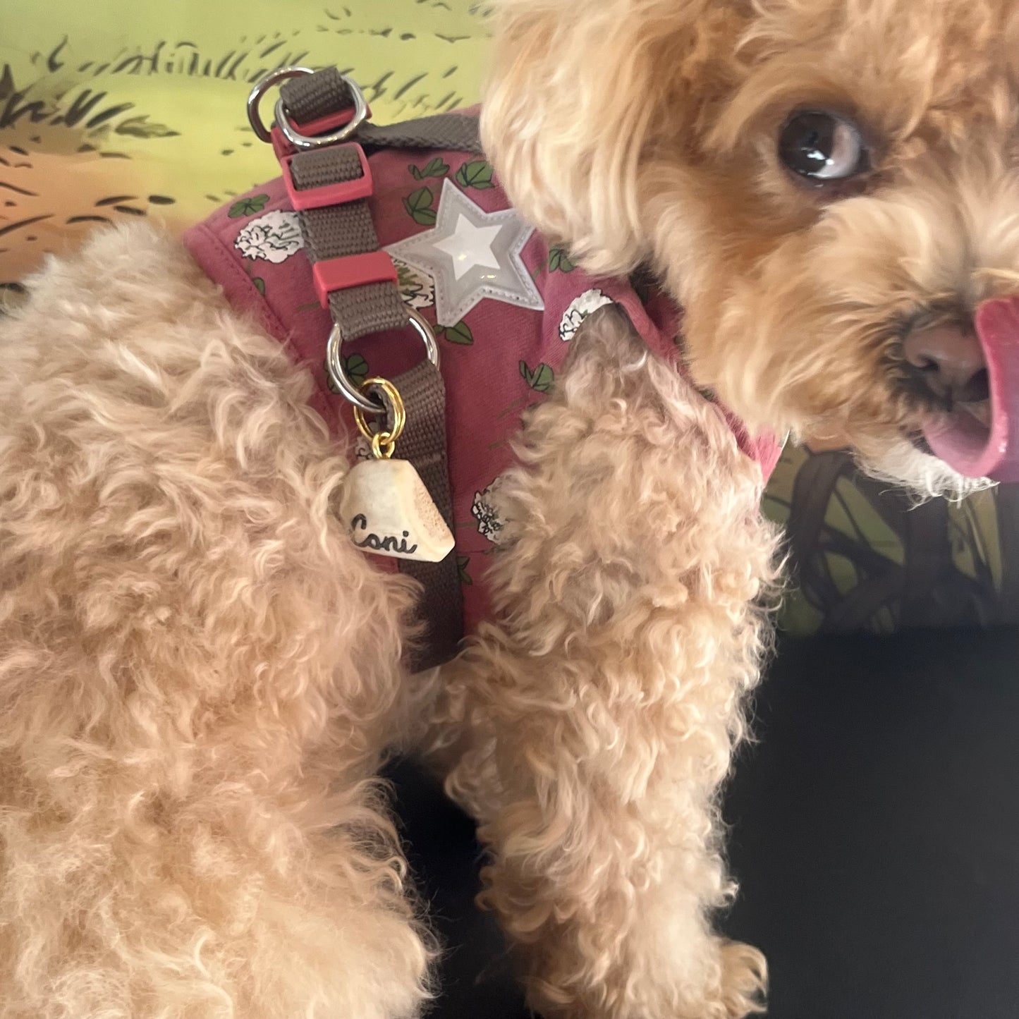 エゾ鹿角のペットタグ