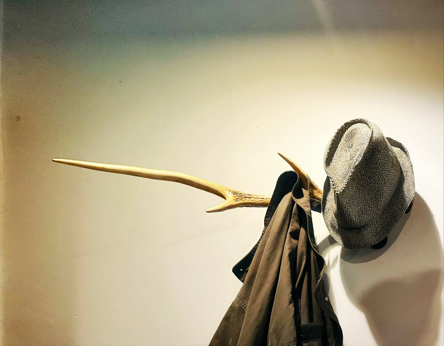 天然エゾ鹿角のウォールラック